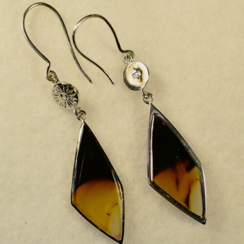 Montana Agate Earrings
