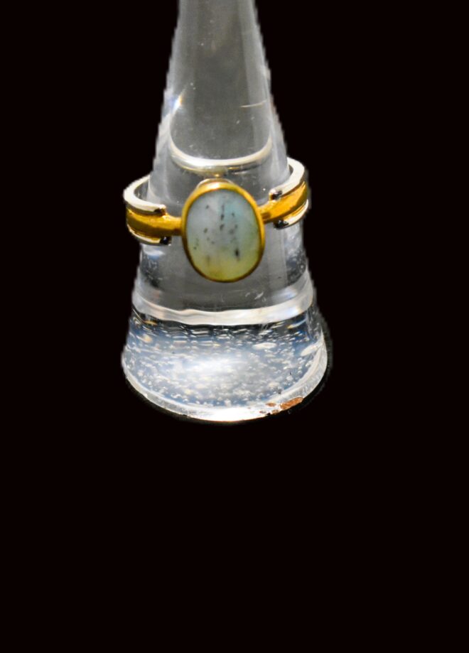 Montana Agate Ring