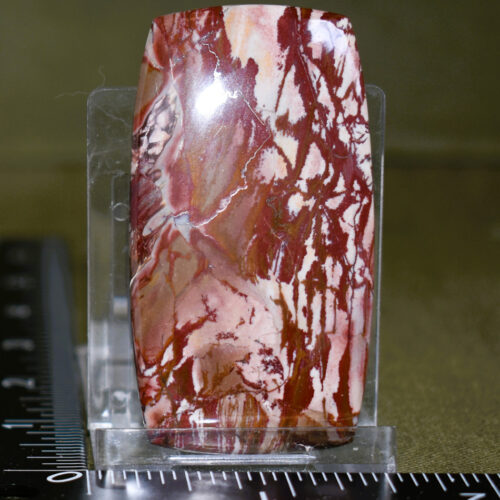 Dead Camel/Lahontan Jasper - 59.6mm x 34mm