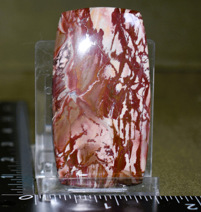 Dead Camel/Lahontan Jasper - 59.6mm x 34mm