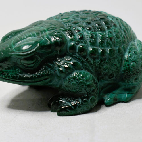 Malachite Toad