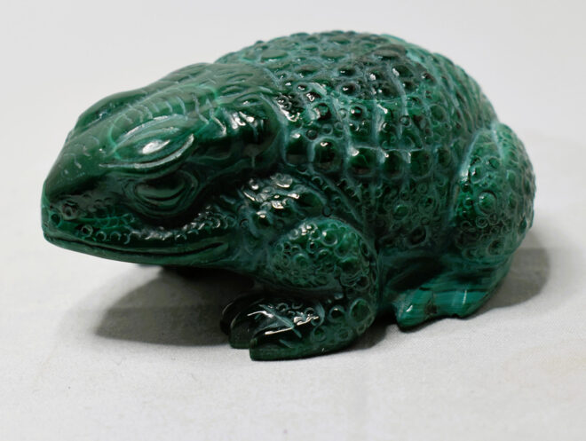 Malachite Toad