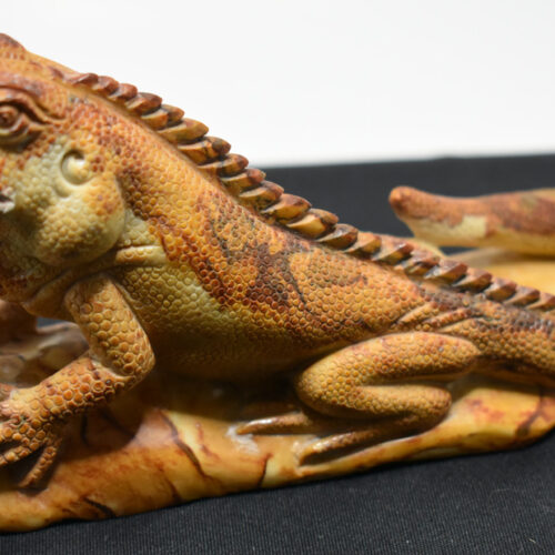 Jasper Gecko