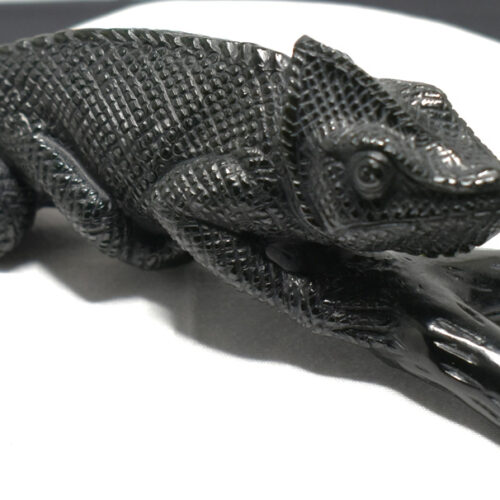 Black River Stone Gecko