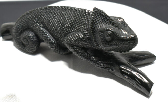 Black River Stone Gecko