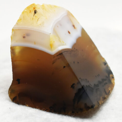 Polka Dot and Dendritic Agate Specimen