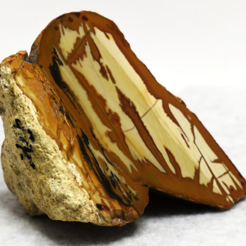 Owyhee Jasper Specimen