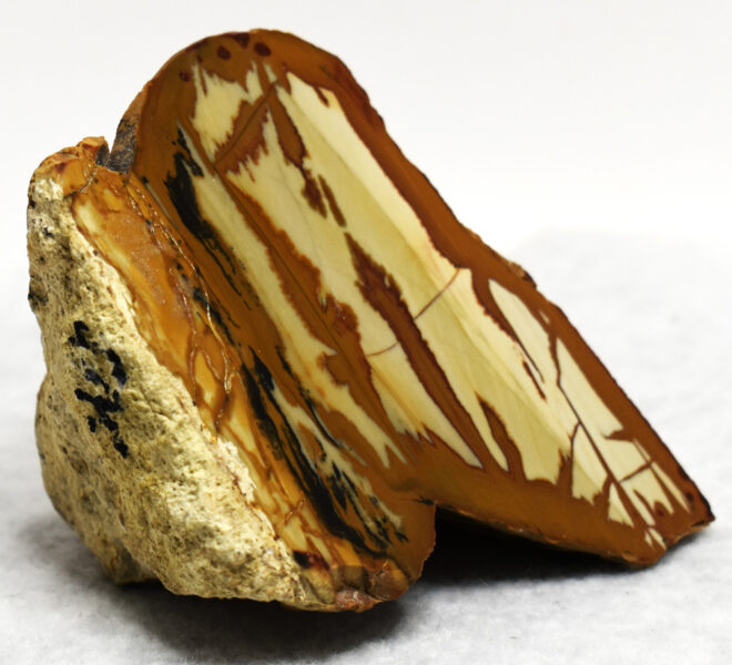 Owyhee Jasper Specimen