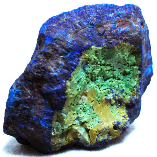 Specimens