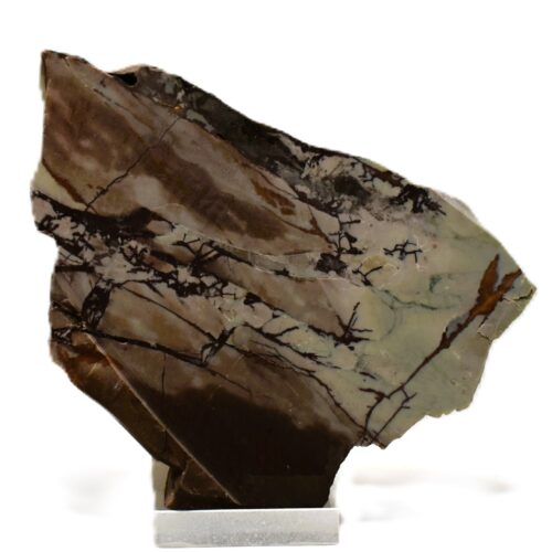Dead Camel Jasper Specimen