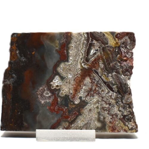 Mexican Lace Agate Specimen